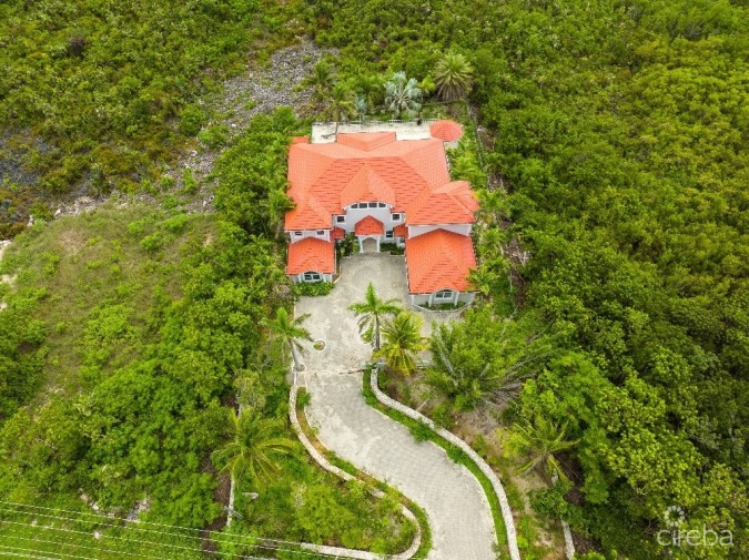 KAI JUNGLE, 1659 RUM POINT DRIVE