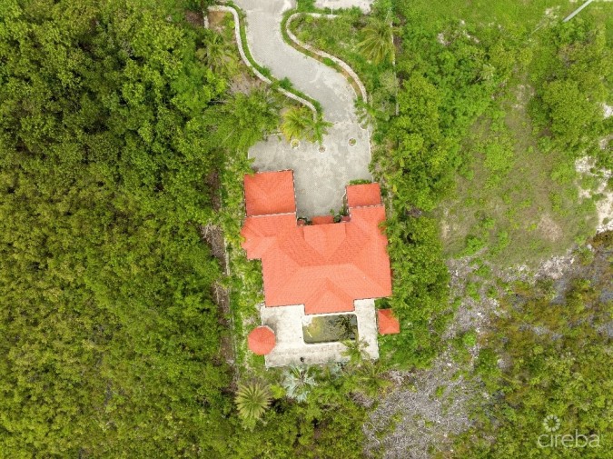 KAI JUNGLE, 1659 RUM POINT DRIVE