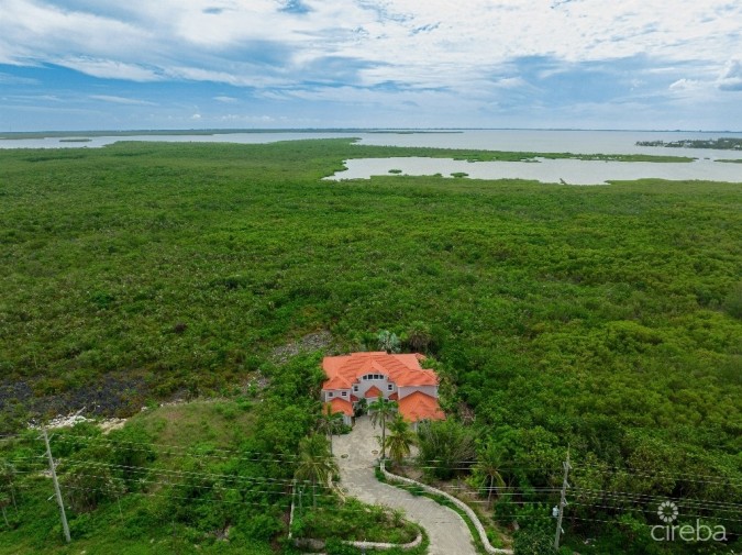 KAI JUNGLE, 1659 RUM POINT DRIVE