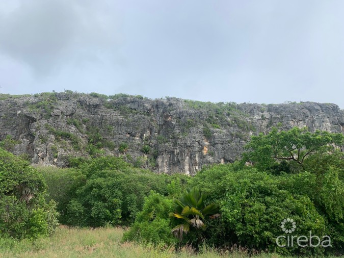 CAYMAN BRAC OCEAN FRONT HOME