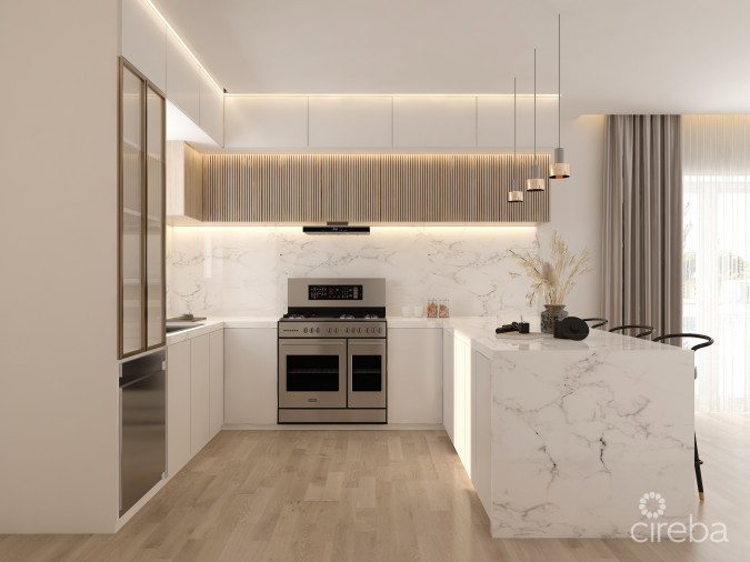 EUPHORIA UNIT #1 PRE-CONSTRUCTION