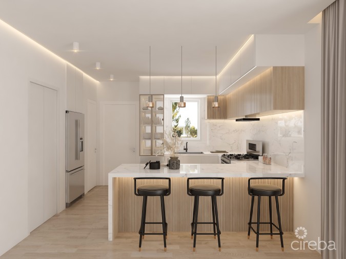 EUPHORIA UNIT #1 PRE-CONSTRUCTION