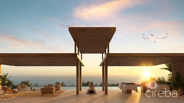 THE RESIDENCES AT MANDARIN ORIENTAL GRAND CAYMAN