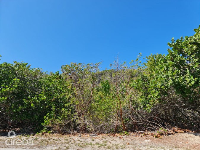 OCEANFRONT VACANT LAND