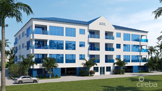 AZUL-DEVELOPER OPPORTUNITY