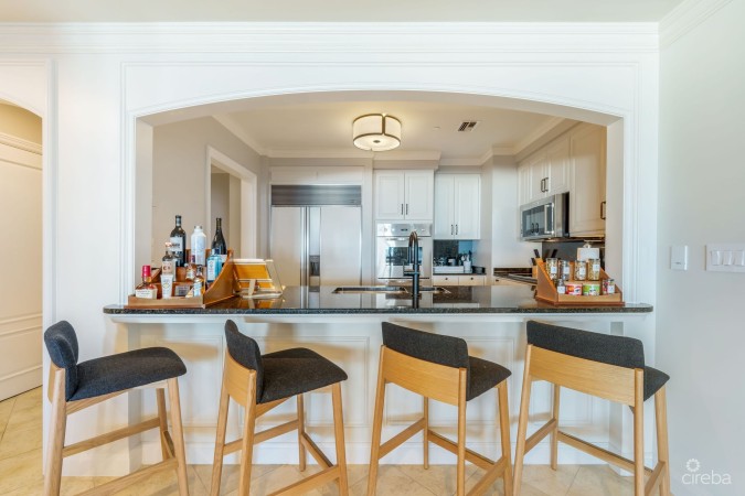 RITZ-CARLTON GROUND FLOOR (PIP) RESIDENCE