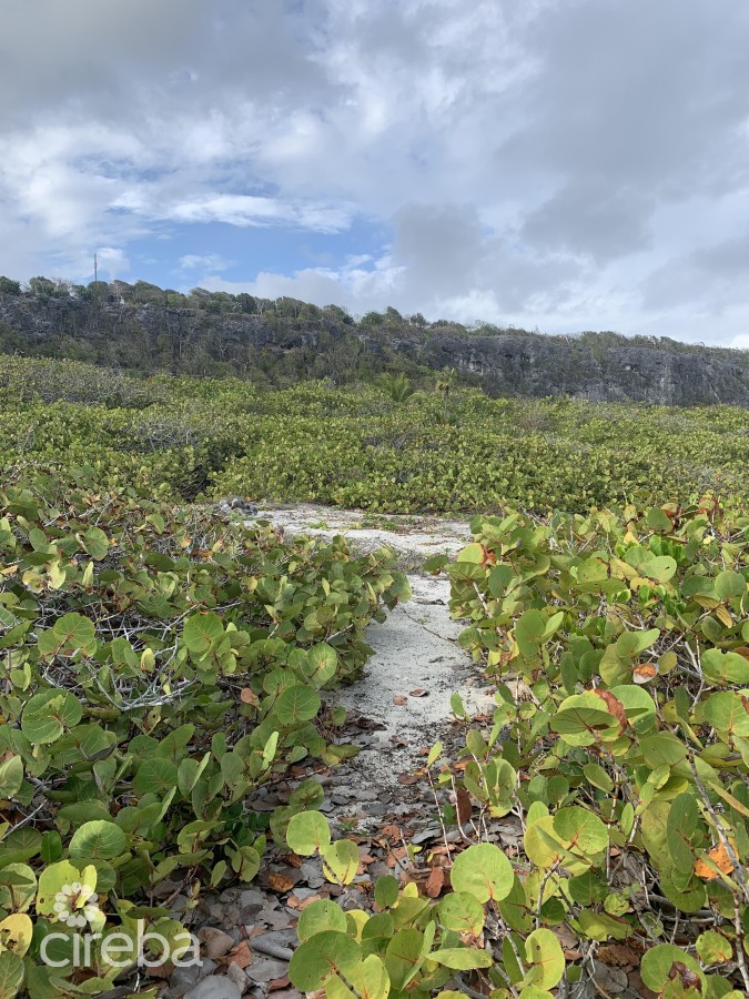 SOUTH SIDE OCEAN FRONT LAND