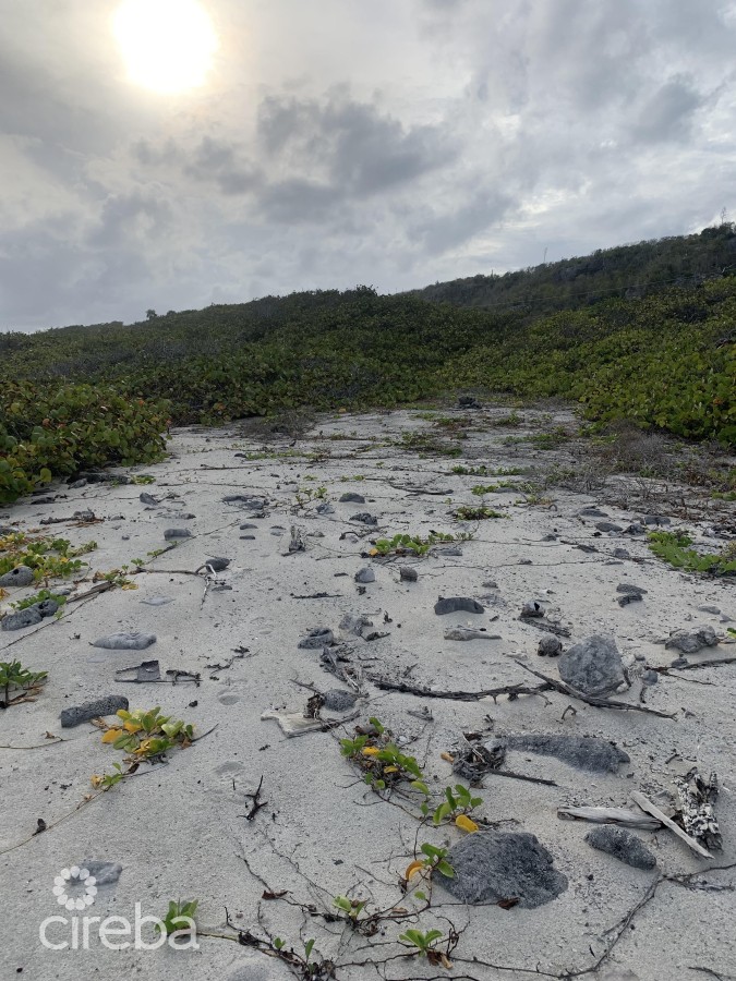 SOUTH SIDE OCEAN FRONT LAND