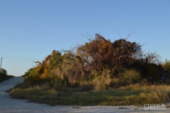 LITTLE CAYMAN WAREHOUSE (20 UNITS) AND LAND SUB-DIVISION  13 LOTS