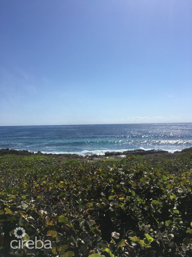 OCEANFRONT SAVANNAH DEVELOPMENT PROPERTY
