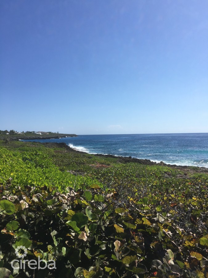OCEANFRONT SAVANNAH DEVELOPMENT PROPERTY