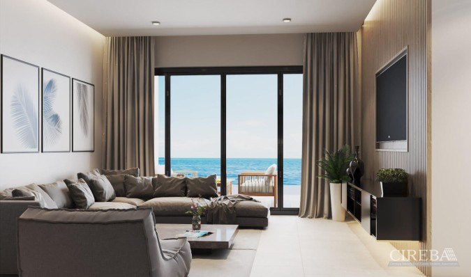 DOLPHIN POINT CLUB 309