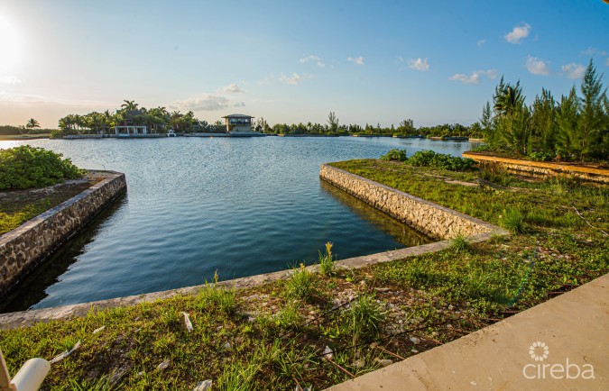 MANGROVE POINT