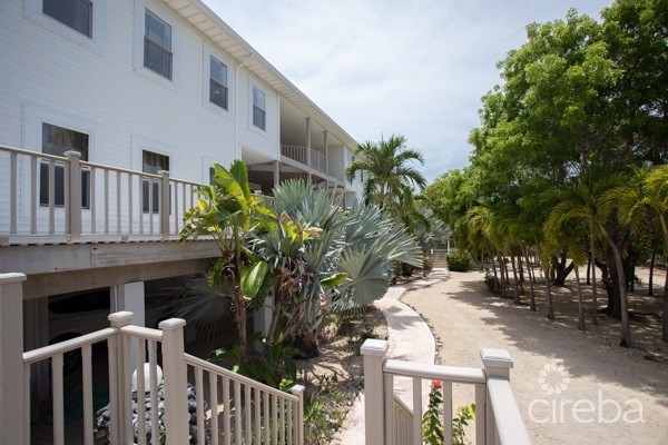 CAYMAN BRAC BLUFF TWIN ESTATE WITH POOL