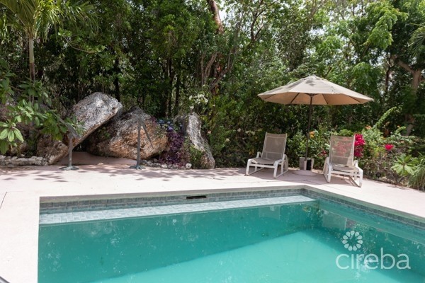 CAYMAN BRAC BLUFF TWIN ESTATE WITH POOL