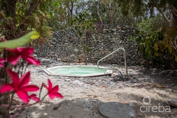 CAYMAN BRAC BLUFF TWIN ESTATE WITH POOL