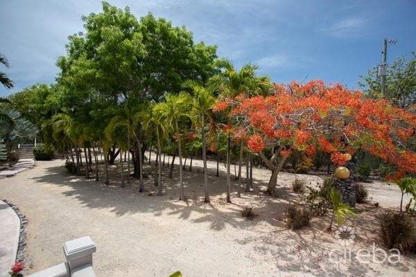 CAYMAN BRAC BLUFF TWIN ESTATE WITH POOL