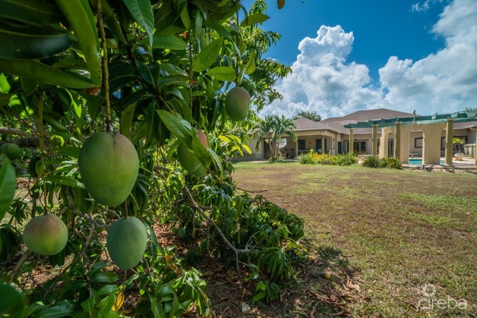 DESTINY AVENUE FAMILY HOME ON 1.39 ACRE