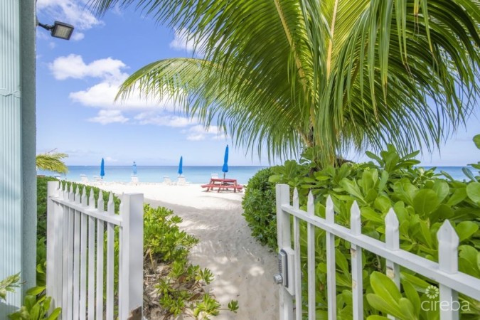 SEAGULL SEVEN MILE BEACHFRONT UNIT 5