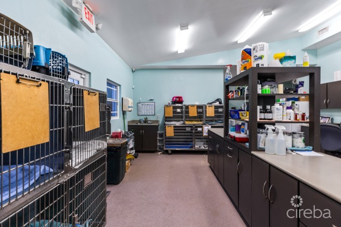 ISLAND VETERINARY SERVICES VET CLINIC AND PROPERTY