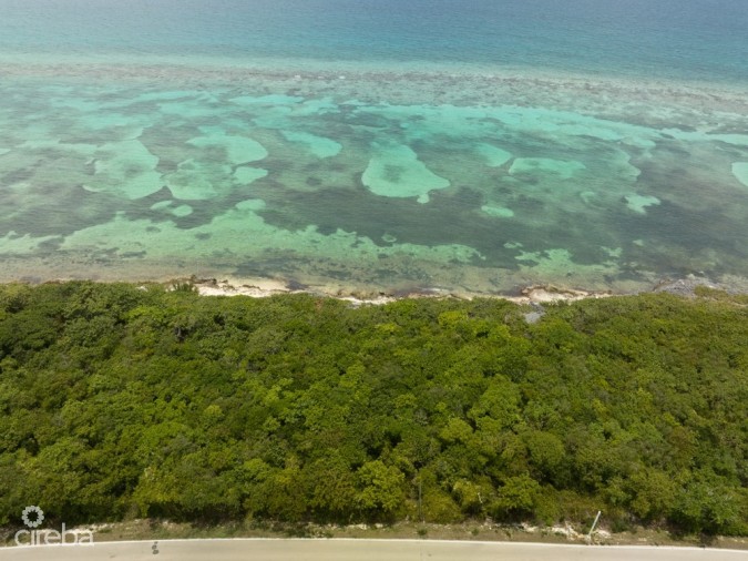 NORTHEAST COAST  OCEAN FRONT LAND