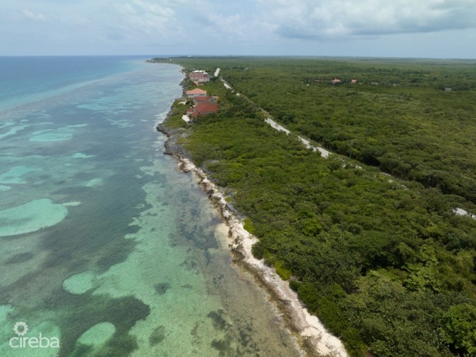 NORTHEAST COAST  OCEAN FRONT LAND