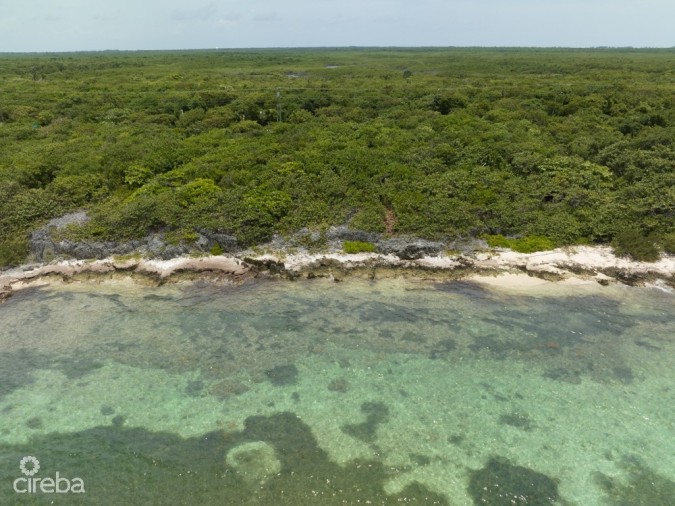 NORTHEAST COAST  OCEAN FRONT LAND