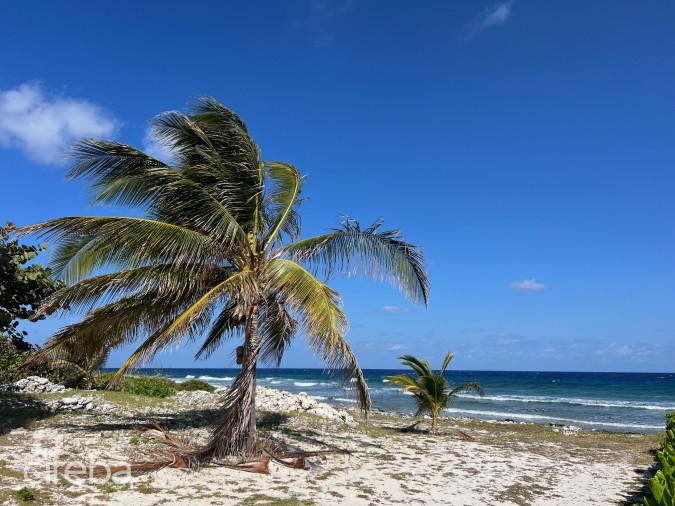 OCEAN FRONT 0.35 ACRE LOT IN SPOT BAY