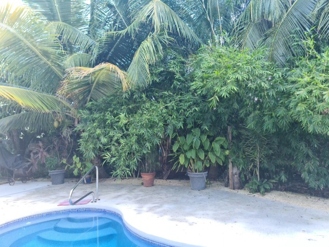 SANTOSHA - FAMILY HOME IN VALLEY GARDENS