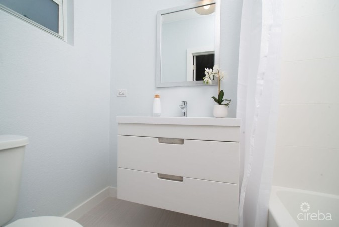BEAUTIFULLY RENOVATED 3BED HOME WITH DEN + INCOME PRODUCING 1 BED APARTMENT