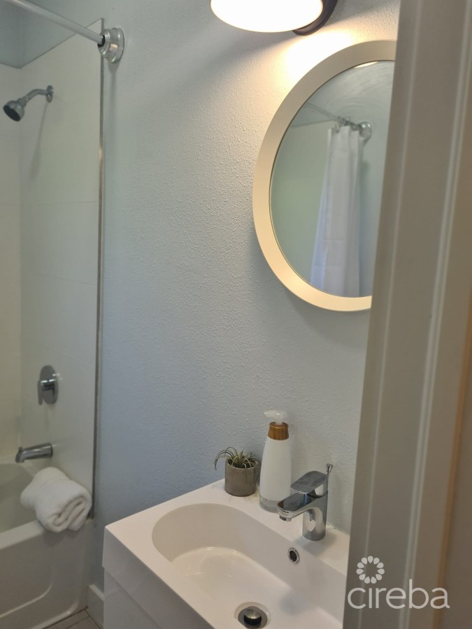 BEAUTIFULLY RENOVATED 3BED HOME WITH DEN + INCOME PRODUCING 1 BED APARTMENT