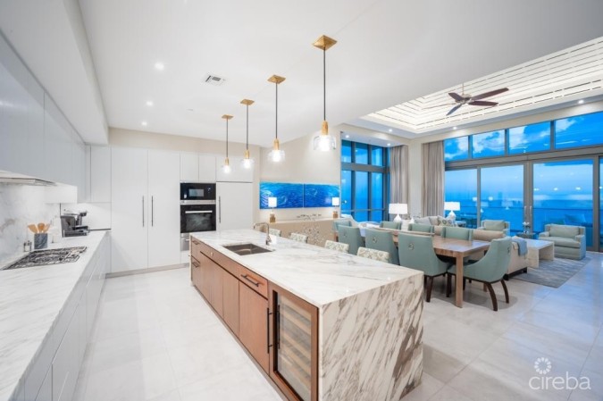 PENTHOUSE RESIDENCE AT SEAFIRE S1002