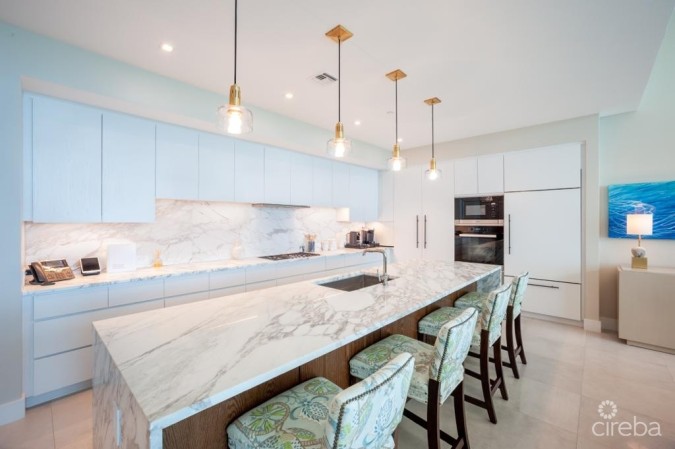 PENTHOUSE RESIDENCE AT SEAFIRE S1002