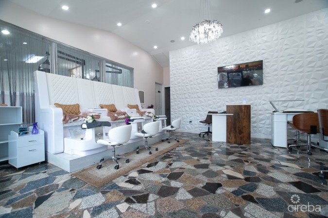 GEORGE TOWN CENTRAL COMMERCIAL PROPERTY