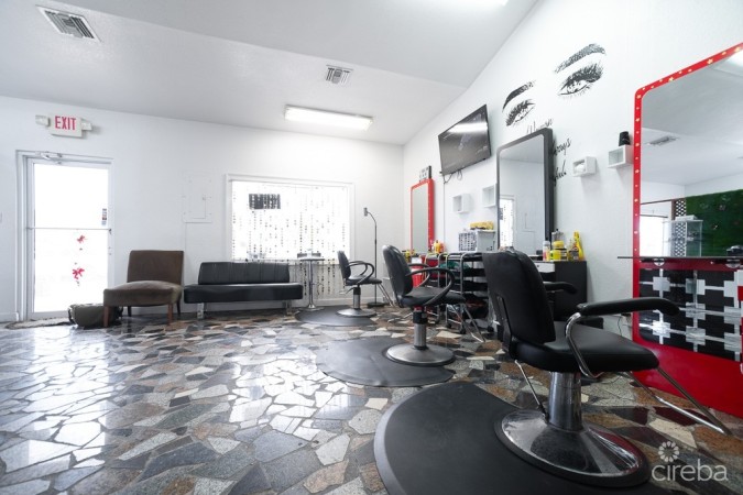 GEORGE TOWN CENTRAL COMMERCIAL PROPERTY