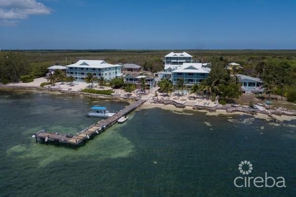 COMPASS POINT PHASE 2 #225 - WEEKS 26, 27, 28, 39, 40