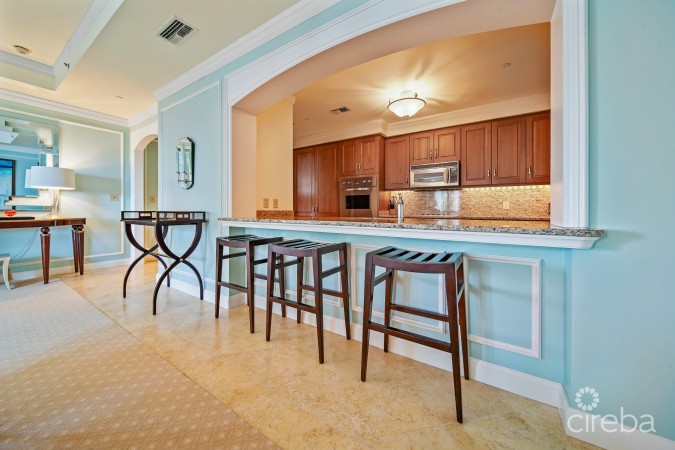 RITZ-CARLTON SOUTH TOWER RESIDENCE # 305