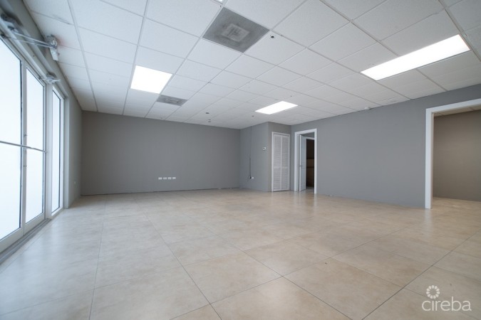 COMMERCIAL OFFICE SPACE PALM GROVE
