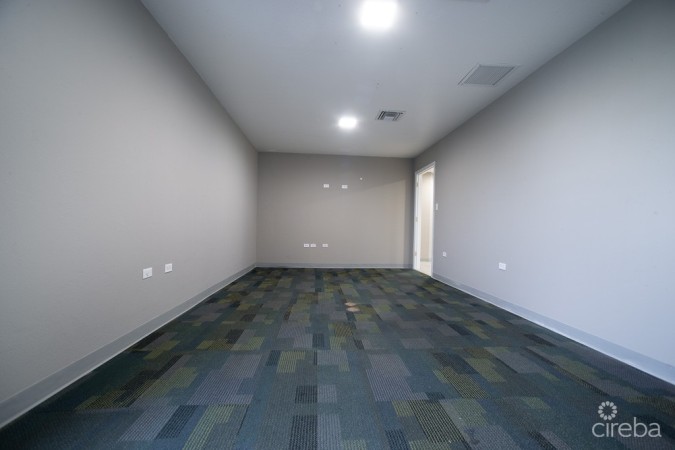 COMMERCIAL OFFICE SPACE PALM GROVE
