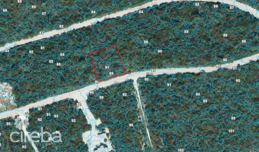 CAYMAN BRAC BLUFF LOT (0.2874 ACRE)