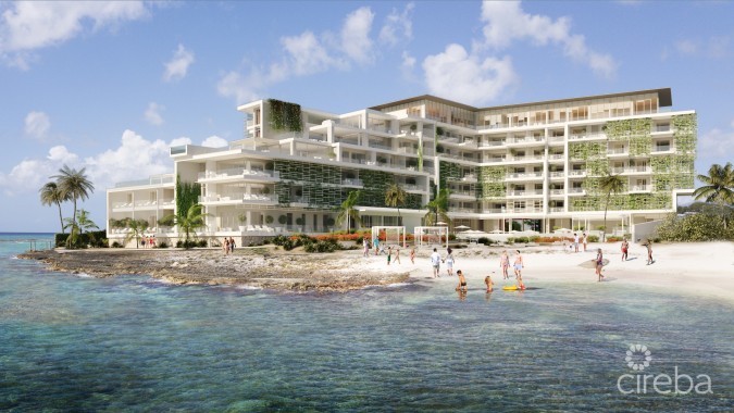 KAILANI CURIO COLLECTION BY HILTON UNIT 603 ASSIGNMENT