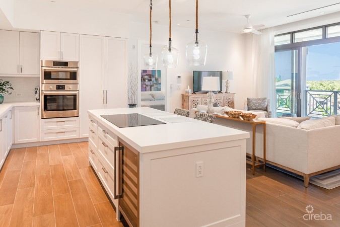 OLEA 433 PENTHOUSE