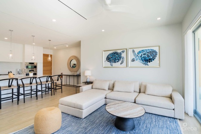 ONE CANAL POINT 512 WITH 30FT BOAT DOCK