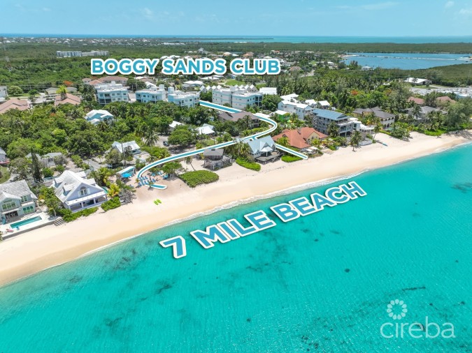BOGGY SANDS CLUB TURTLE 2