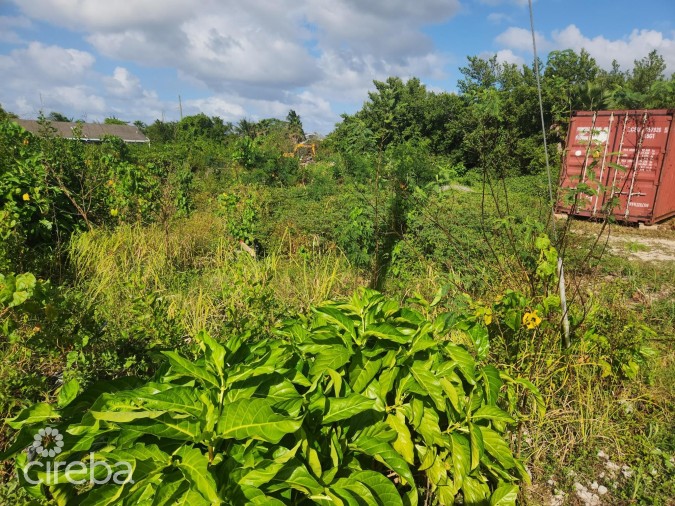 MIDLAND ACRES HOUSE LOT - BRING OFFERS!