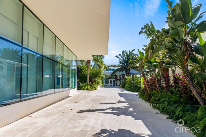 THE GROVE 19, SEVEN MILE CORRIDOR