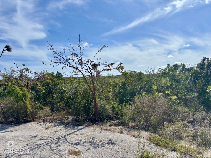 LITTLE CAYMAN EAST LOT - .5 ACRES