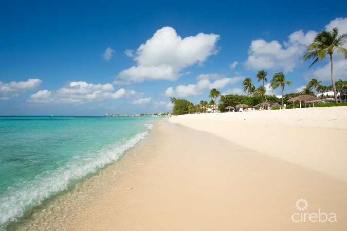 THE PALMS #7, SEVEN MILE BEACH