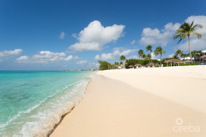 THE PALMS #7, SEVEN MILE BEACH