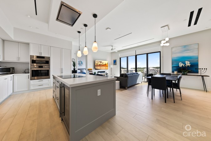 OLEA UNIT 431